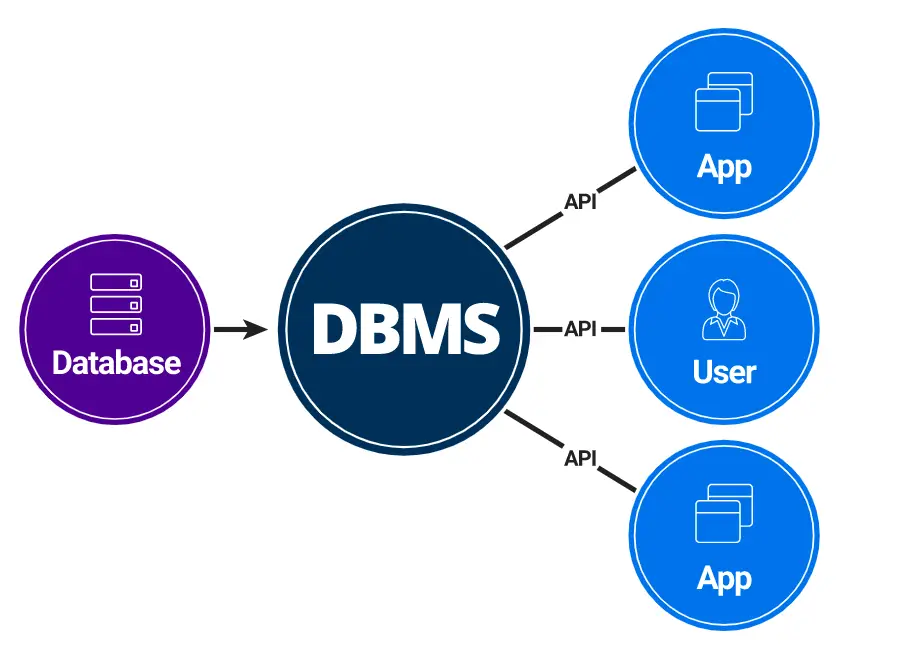 DBMS or database management act as a intermediate between the users and stored database.